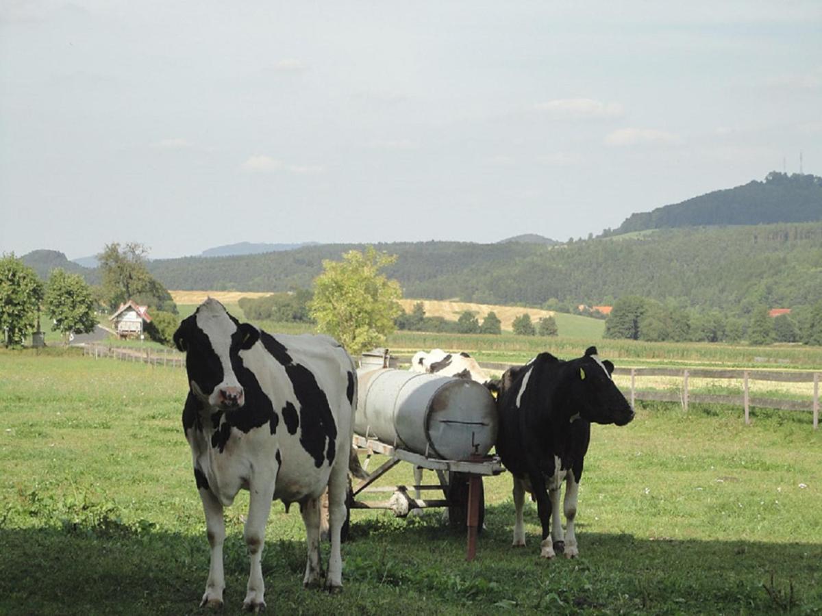 Monteurwohnungen Goeb - Nicht Fuer Urlaubsgaeste Geisa Exterior foto